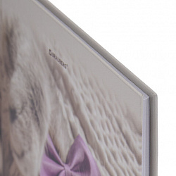 Дневник 5-11 класс 48 л., твердый, BRAUBERG, глянцевая ламинация, с подсказом, "Котик", 107188