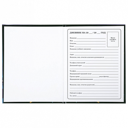 Дневник 1-4 класс 48 л., твердый, BRAUBERG, глянцевая ламинация, с подсказом, "CATS & DUCK", 106831