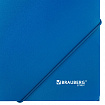 Папка на резинках А4 BRAUBERG UNIVERSAL, синяя, до 300 листов, 0,5 мм, 273037