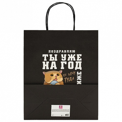 Пакет подарочный (1 штука) 26х13х32 см (L) "Funny Notes", ассорти, крафт, ЗОЛОТАЯ СКАЗКА, 700824