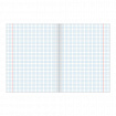 Тетрадь 18 л. BRAUBERG "ЭКО", клетка, обложка картон 170 г/м2, ЗЕЛЕНАЯ ПАСТЕЛЬНАЯ, 105675