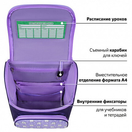 Ранец ПИФАГОР BASIC, 1 отделение, 3 кармана, эргономичная спинка, "Веселые мишки", 35х28х18 см, 272047