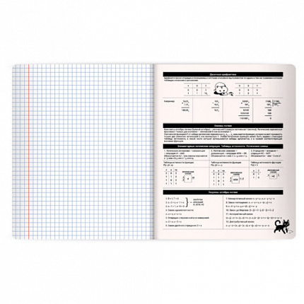 Тетрадь предметная КОТ-НЕПОСЕДА 48л, пластиковая обложка, ИНФОРМАТИКА, клетка, подсказ, BRAUBERG, 405533