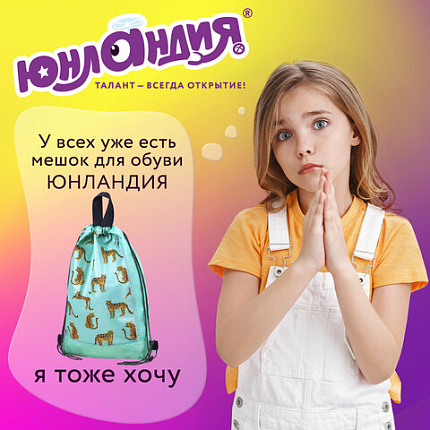 Мешок для обуви ЮНЛАНДИЯ, с ручками, боковой карман на молнии, 46х36 см, "Wild Cats", 271614