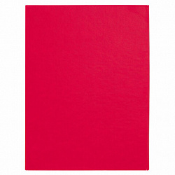 Диплом об окончании детского сада, бумвинил красный, А5 115х150 мм, BRAUBERG, 117577