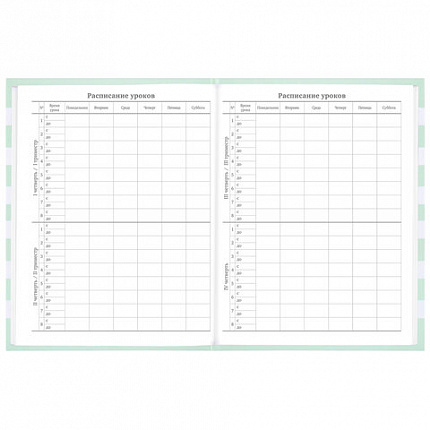 Дневник 1-11 класс 48 л., твердый, BRAUBERG, блестки, с подсказом, "Котик", 106606