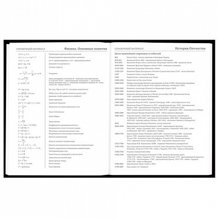 Дневник 5-11 класс 48 л., твердый, BRAUBERG, матовая ламинация, с подсказом, "Гитара", 107185