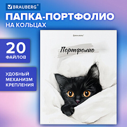 Папка-портфолио универсальная, 4 кольца, 20 файлов, 7БЦ матовая, BRAUBERG "Cat", 107557, 117557