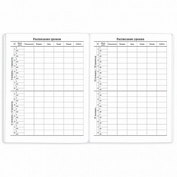 Дневник 1-11 класс 40 л., на скобе, ПИФАГОР, обложка картон, МИКС "Универсальный", 107139