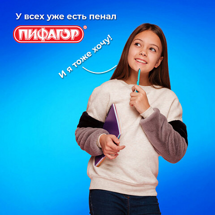 Пенал ПИФАГОР, 1 отделение, 2 откидные планки, полиэстер, 20х14 см, "Cats selfie", 273477