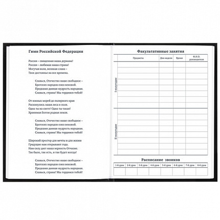 Дневник 1-11 класс 40 л., твердый, BRAUBERG, матовая ламинация, "Футбол", 107173