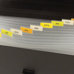 Папка для бумаг и документов с замком и 13 отделениями BRAUBERG "HIT", А4, пластик, черная, 229572