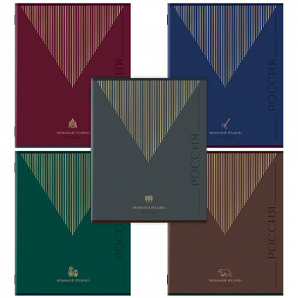 Тетрадь А5, 48 л., STAFF, скоба, линия, офсет №2 ЭКОНОМ, обложка картон, ТЕМНАЯ, 405629