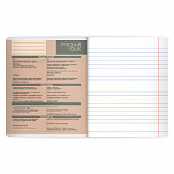Тетрадь предметная MonoPastel 48 л., пластиковая обложка, РУССКИЙ ЯЗЫК, линия, подсказ, BRAUBERG, 405510