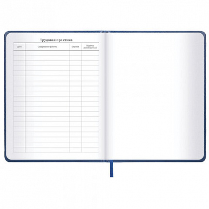 Дневник 1-11 класс 48 л., кожзам (твердая с поролоном), нашивка, BRAUBERG IGUANA, синий, 107226