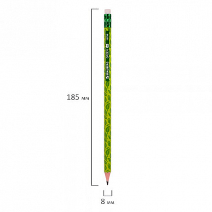 Карандаш чернографитный BRAUBERG "GREEN", 1 шт., HB, с ластиком, пластиковый, ассорти, 181746