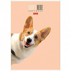 Тетрадь А4 96 л. HATBER скоба, клетка, матовая ламинация, "Кто здесь?" (микс), 066192, 96Т4лВ1