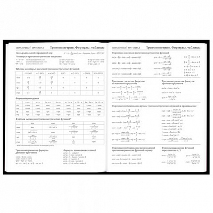 Дневник 5-11 класс 48 л., твердый, BRAUBERG, матовая ламинация, с подсказом, "Гитара", 107185
