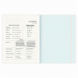 Тетради предметные, КОМПЛЕКТ 13 ПРЕДМЕТОВ, 48 л., матовая ламинация, BRAUBERG "MONOCOLOR", 405175