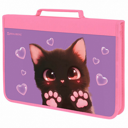 Папка на молнии BRAUBERG А4 с ручкой, с органайзером, 1 отделение, "Paw prints", 273383