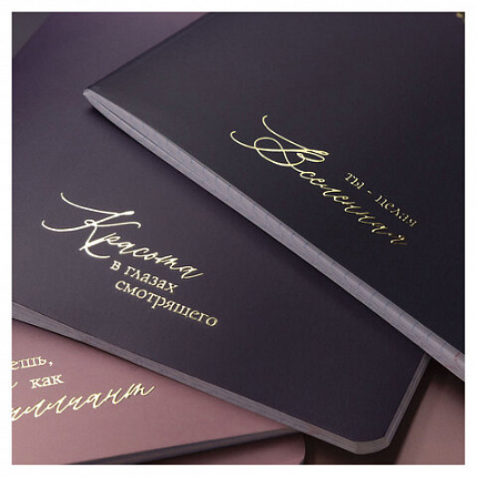 Тетрадь А5 48 л., HATBER, скоба, клетка, матовая ламинация, 3D-фольга, Золотые моменты (микс), 090125, 48Т5лофВ1