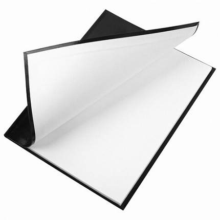 Дневник 5-11 класс 48 л., гибкая обложка, BRAUBERG, глянцевая ламинация, с подсказом, "Гепард", 106862