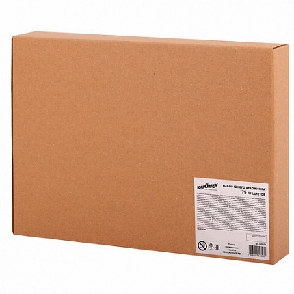 Набор ЮНОГО ХУДОЖНИКА "ОРЕЛ" для рисования и творчества в кейсе ЮНЛАНДИЯ, 75 предметов, 665674