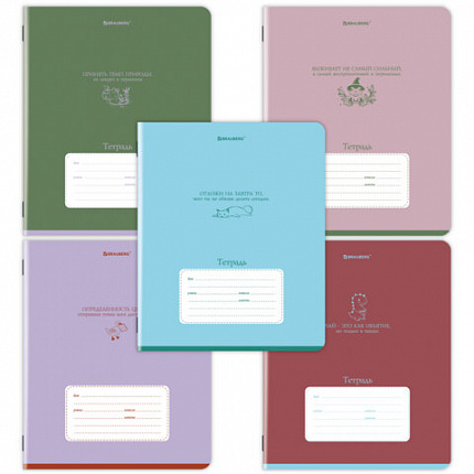 Тетрадь 12л. BRAUBERG клетка, обложка картон, PHRASES, 107777