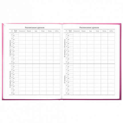 Дневник 5-11 класс 48 л., твердый, BRAUBERG, выборочный лак, с подсказом, "Brings Joy", 107194