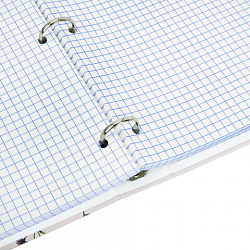 Тетрадь на кольцах БОЛЬШАЯ А4, 220х305 мм, 100 л., твердый картон, клетка, BRAUBERG, "Цветы", 405412