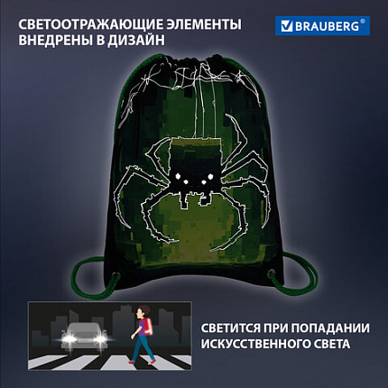 Мешок для обуви BRAUBERG PREMIUM, карман, подкладка, светоотражайка, 43х33 см, "Digital spider", 273444
