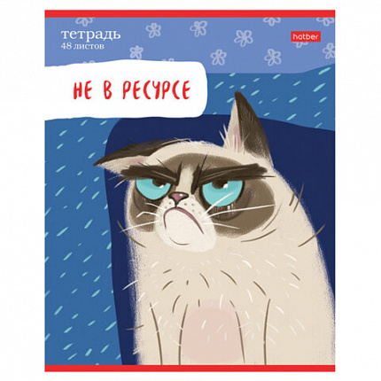 Тетрадь А5 48 л., HATBER скоба, линия, обложка картон, "Кот-обормот" (микс в спайке), 080206, 48Т5В2