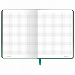 Блокнот с резинкой в клетку 96 л., А5 145х203 мм, твердая обложка, BRAUBERG, "Peaceful", 116326