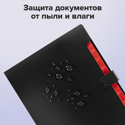 Папка-органайзер на кнопке 12 отделений, BRAUBERG "Extra", А4, черная с красным, 271934
