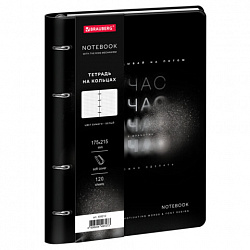 Тетрадь на кольцах А5, 175х215 мм, 120 л., под кожу, BRAUBERG VISTA, "Сейчас", 405212