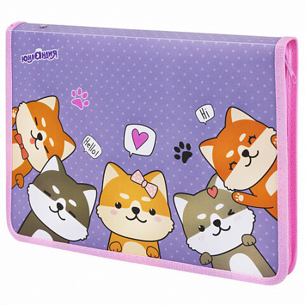 Папка для труда на молнии ЮНЛАНДИЯ А4, 1 отделение, откидная планка, органайзер, "Best fellows", 273392