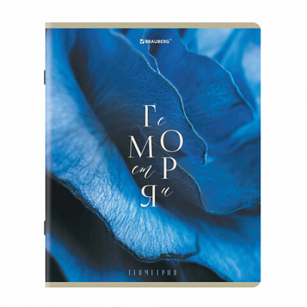 Тетради предметные, КОМПЛЕКТ 12 ПРЕДМЕТОВ 48л, пластиковая обложка, BRAUBERG "PURE NATURE", 405543