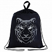 Мешок для обуви BRAUBERG, с петлёй, карман на молнии, 47х37 см, "Tiger", 271610