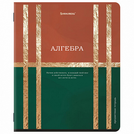 Тетради предметные, КОМПЛЕКТ 12 ПРЕДМЕТОВ, 48 л., матовая ламинация, фольга, BRAUBERG "GOLDY", 405178