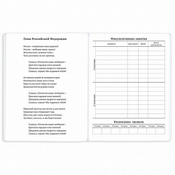 Дневник 1-11 класс 40 л., на скобе, ПИФАГОР, обложка картон, МИКС "Универсальный", 107139