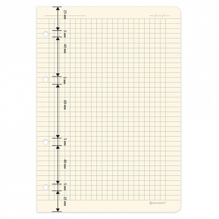 Сменный блок для тетради на кольцах А5 120 л., BRAUBERG, ПОВЫШЕННОЙ ПЛОТНОСТИ, кремовый, 403639