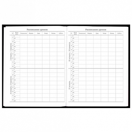 Дневник 5-11 класс 48 л., твердый, BRAUBERG, матовая ламинация, с подсказом, "Гитара", 107185