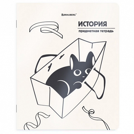 Тетради предметные, КОМПЛЕКТ 12 ПРЕДМЕТОВ 48 л., пластиковая обложка, BRAUBERG "КОТ-НЕПОСЕДА", 405542
