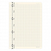Сменный блок для тетради на кольцах БОЛЬШОЙ ФОРМАТ А4 120 л., BRAUBERG, ПОВЫШЕННОЙ ПЛОТНОСТИ, кремовый, 404517