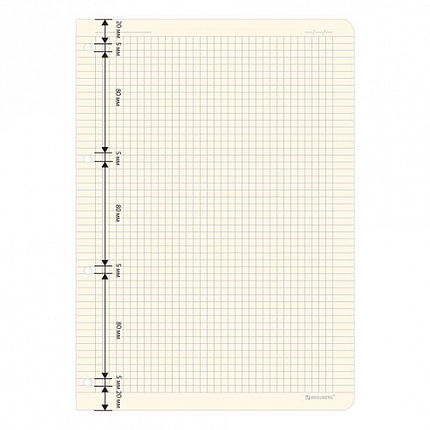 Сменный блок для тетради на кольцах БОЛЬШОЙ ФОРМАТ А4 120 л., BRAUBERG, ПОВЫШЕННОЙ ПЛОТНОСТИ, кремовый, 404517