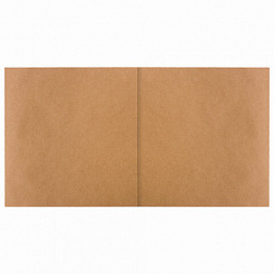 Альбом для рисования, крафт-бумага 70 г/м2, 205х195 мм, 40 л., на скобе, BRAUBERG ART CLASSIC, 105914