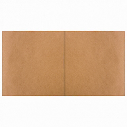 Альбом для рисования, крафт-бумага 70 г/м2, 205х195 мм, 40 л., на скобе, BRAUBERG ART CLASSIC, 105914