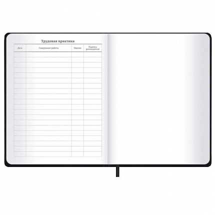 Дневник 1-11 класс 48 л., кожзам SoftTouch (твердая с поролоном), фольга, BRAUBERG, "Minimal", 107230