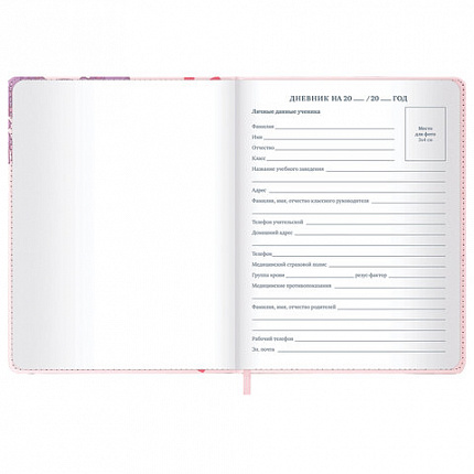 Дневник 1-11 класс 48 л., кожзам (твердая), застежка, BRAUBERG, "Аниме девочка", 107228