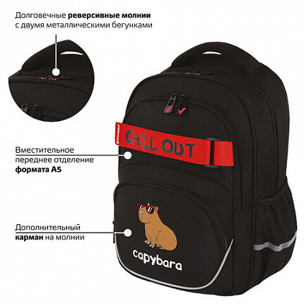 Рюкзак BRAUBERG MOTION, 2 отделения, 3 кармана, "Calm capy", СВЕТЯЩИЙСЯ, 41х28х17 см, 272032